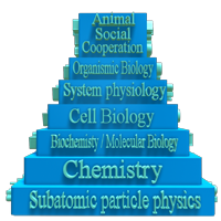 reductionist pyramid